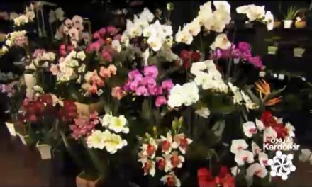 ساخت گل مصنوعی Artificial Flowers