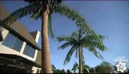 ساخت نخل مصنوعی  artificial palm