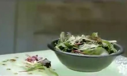 کارخانه مخلوط سالاد mixed salad