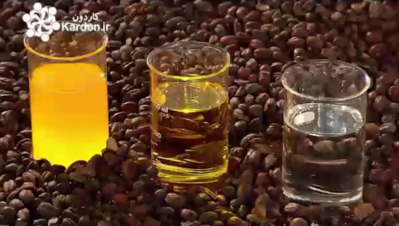 تولید روغن جوجوبا Jojoba Oil